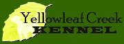 Yellowleaf Creek Kennels